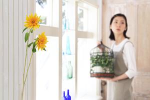 地域密着の工務店が提案！多摩市で叶える理想の注文住宅プランと安心サポート